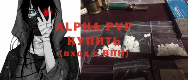 молекула духа Арсеньев