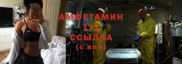 молекула духа Арсеньев
