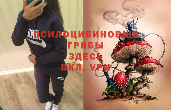 молекула духа Арсеньев