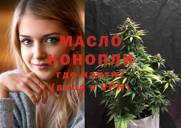 молекула духа Арсеньев