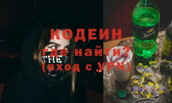 молекула духа Арсеньев