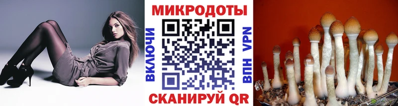 Галлюциногенные грибы ЛСД omg ссылки Краснотурьинск где купить