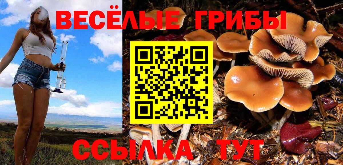 Галлюциногенные грибы MAGIC MUSHROOMS Краснотурьинск