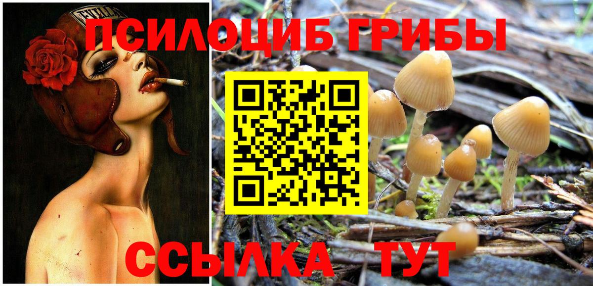 Краснотурьинск  Псилоцибиновые грибы Cubensis  Вход с VPN 